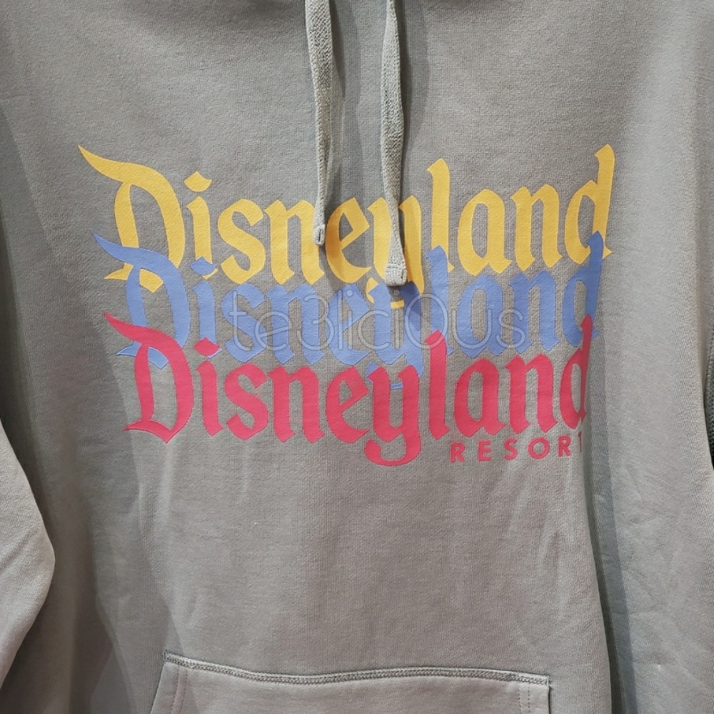 DISNEYLAND RETRO STACKED LOGO HOODIE - Picture 2 of 3